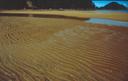 Ripples in the sand left by water moving out with the tide.